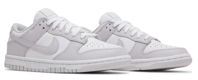Nike Dunk Low Venice (W)