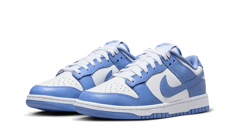 Nike Dunk Low Polar Blue